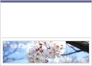 入管手続（VISA）